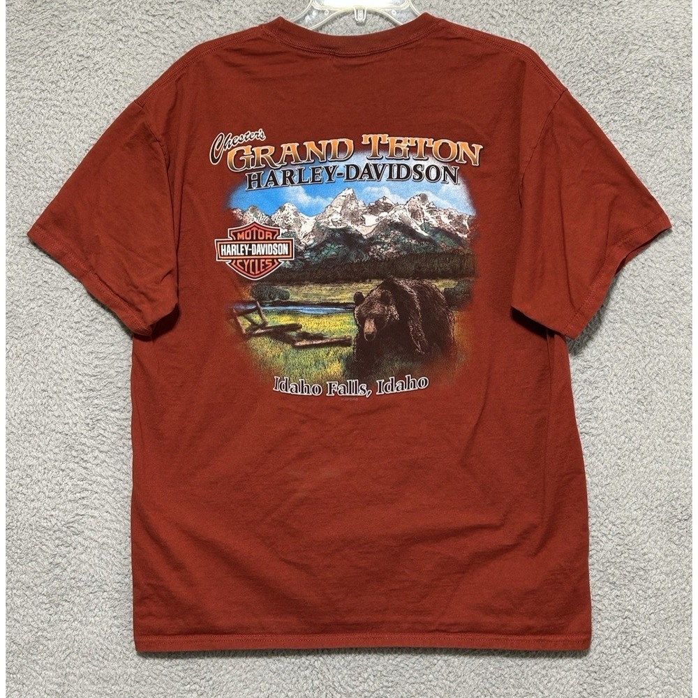 2013 Harley Davidson Grand Teton Idaho Falls Tee Cyan Biker Graphic Shirt Size L - Picture 11 of 13